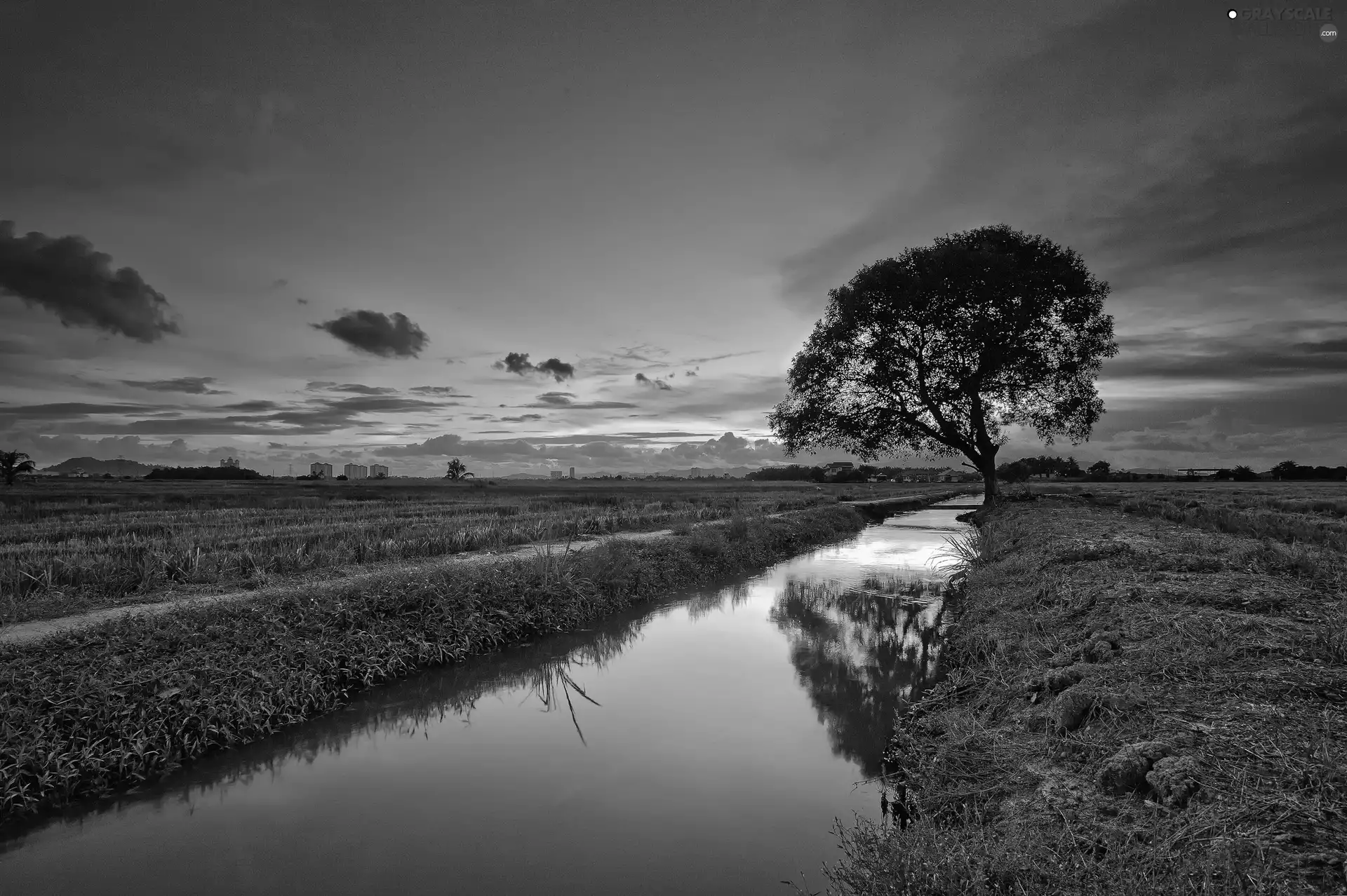 reflection, trees, west, sun, Field, River