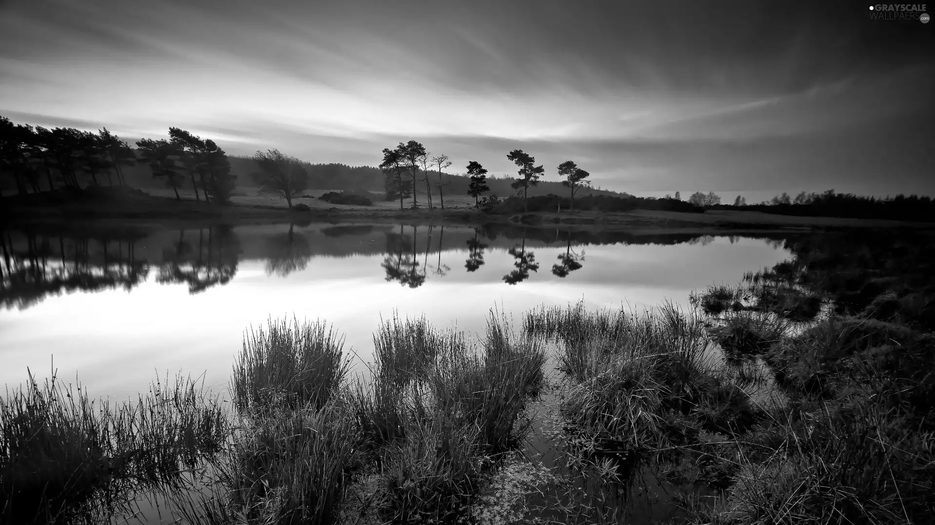 viewes, lake, west, sun, grass, trees