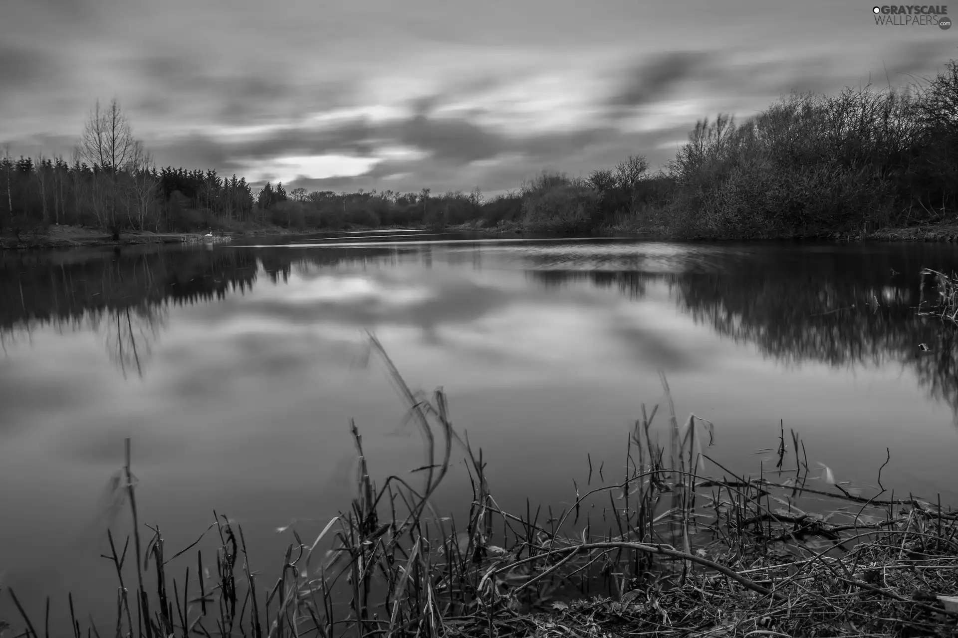 viewes, lake, west, sun, grass, trees