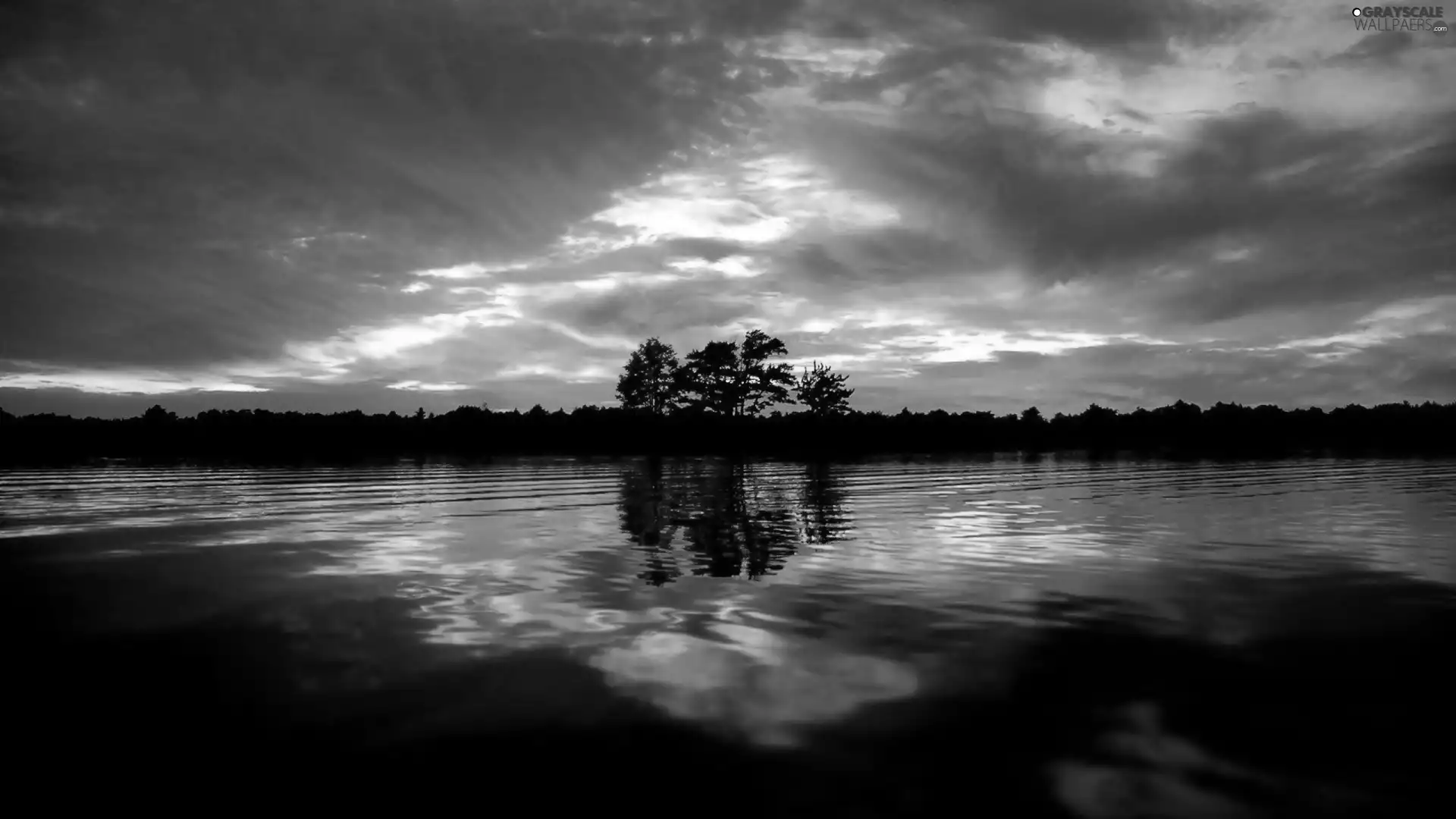 west, sun, trees, viewes, lake