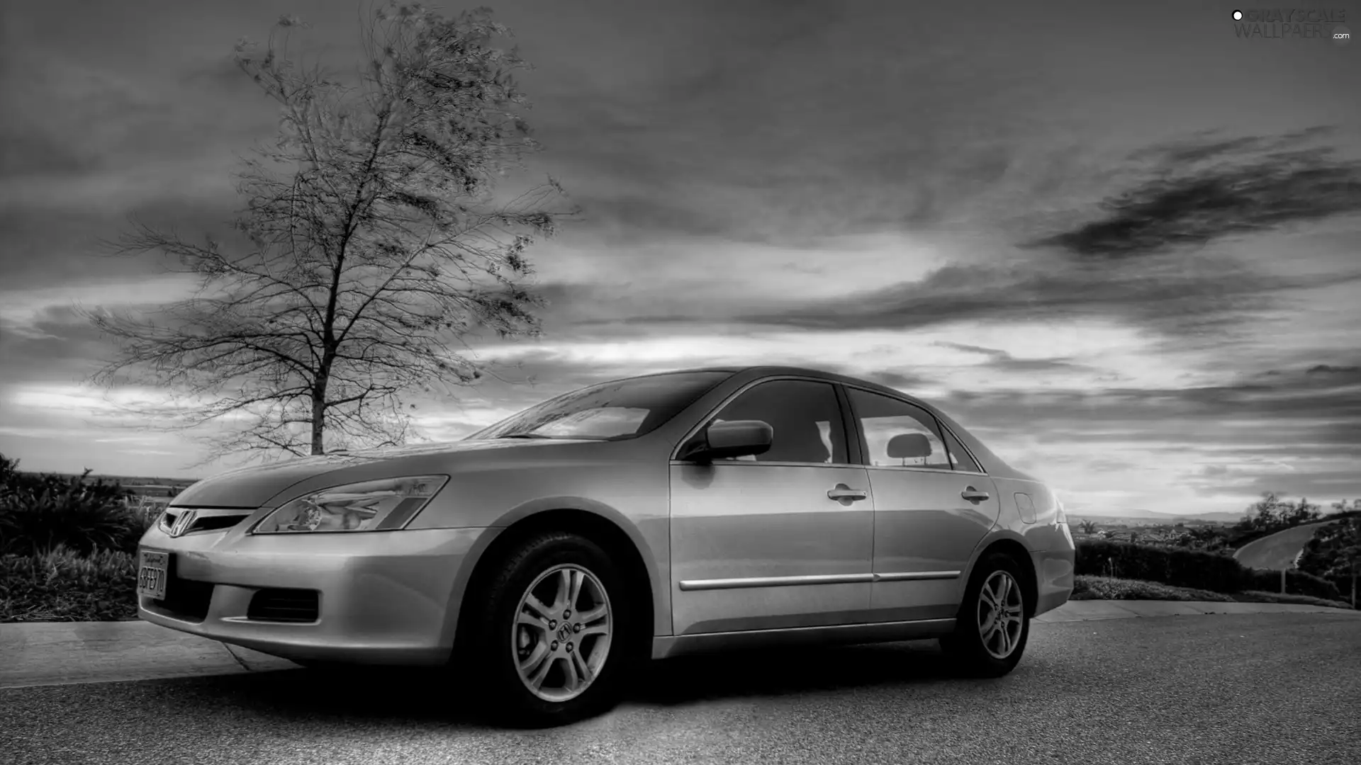 Way, Honda, west, sun, Mountains, Accord