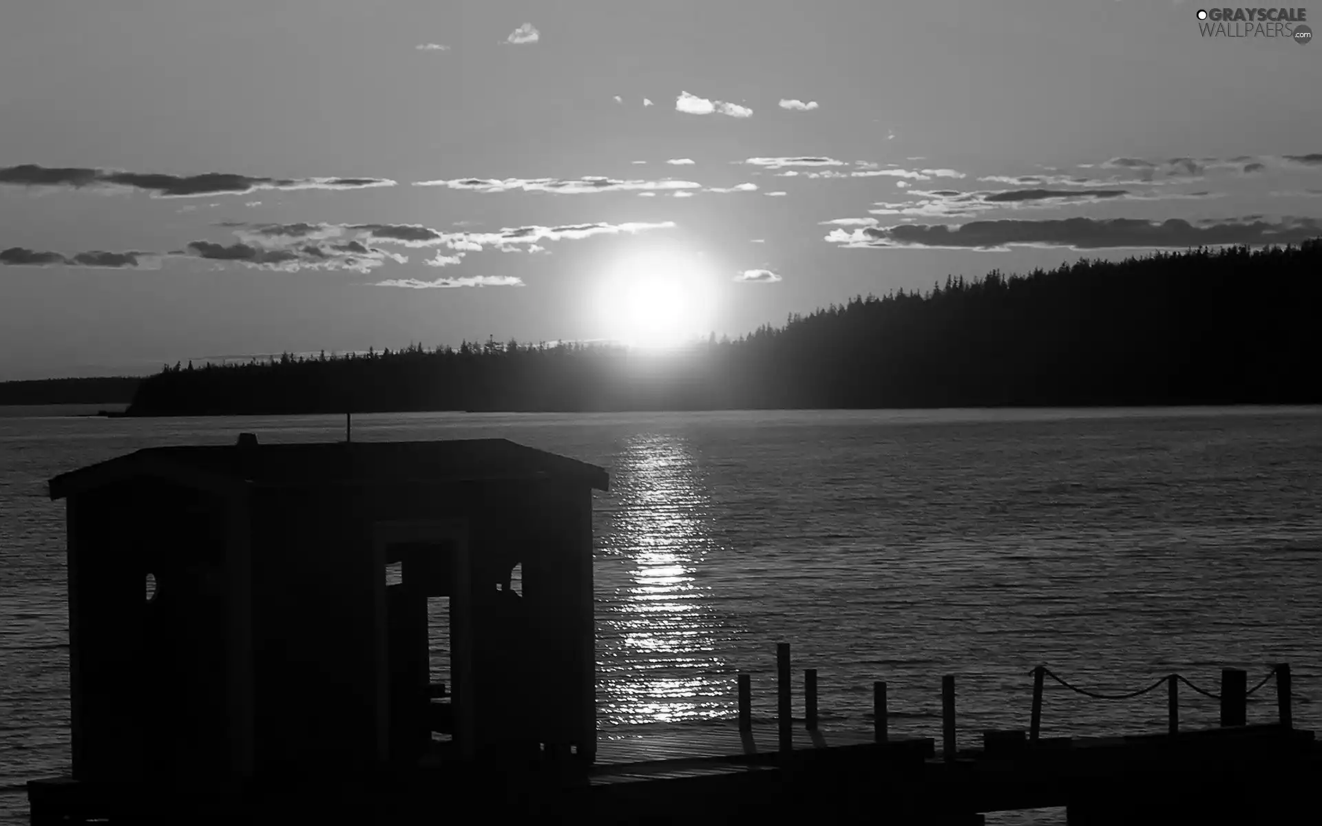 west, sun, forest, Platform, River