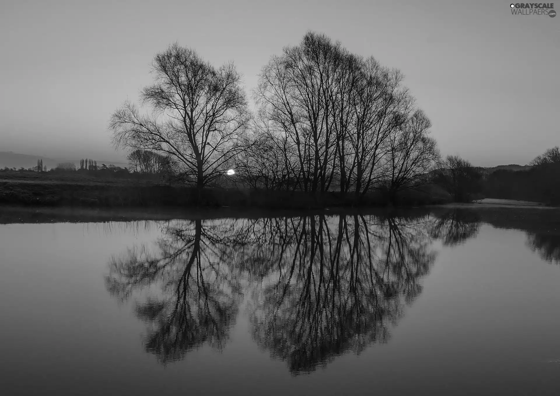 west, sun, trees, viewes, River