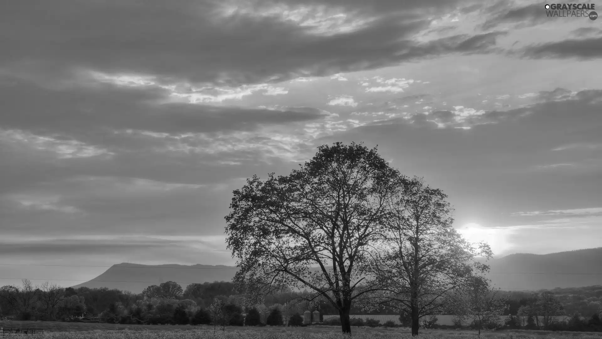 woods, Great Sunsets, viewes, Mountains, trees