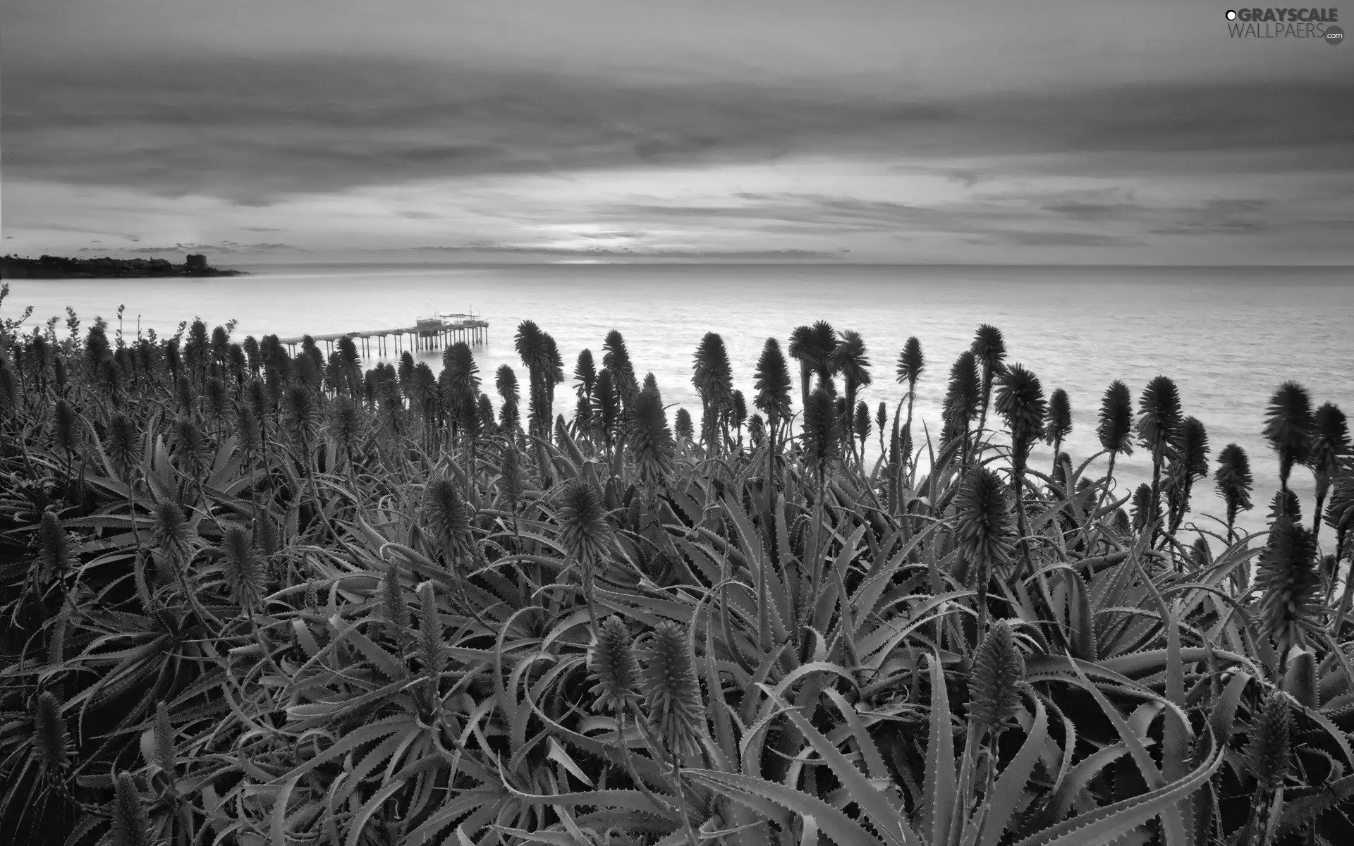 sea, aloe, Great Sunsets, pier