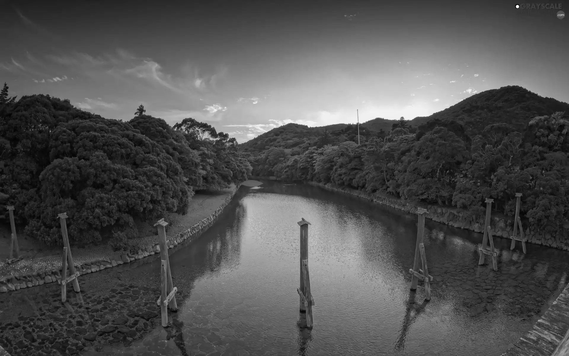 viewes, River, west, sun, Sky, trees