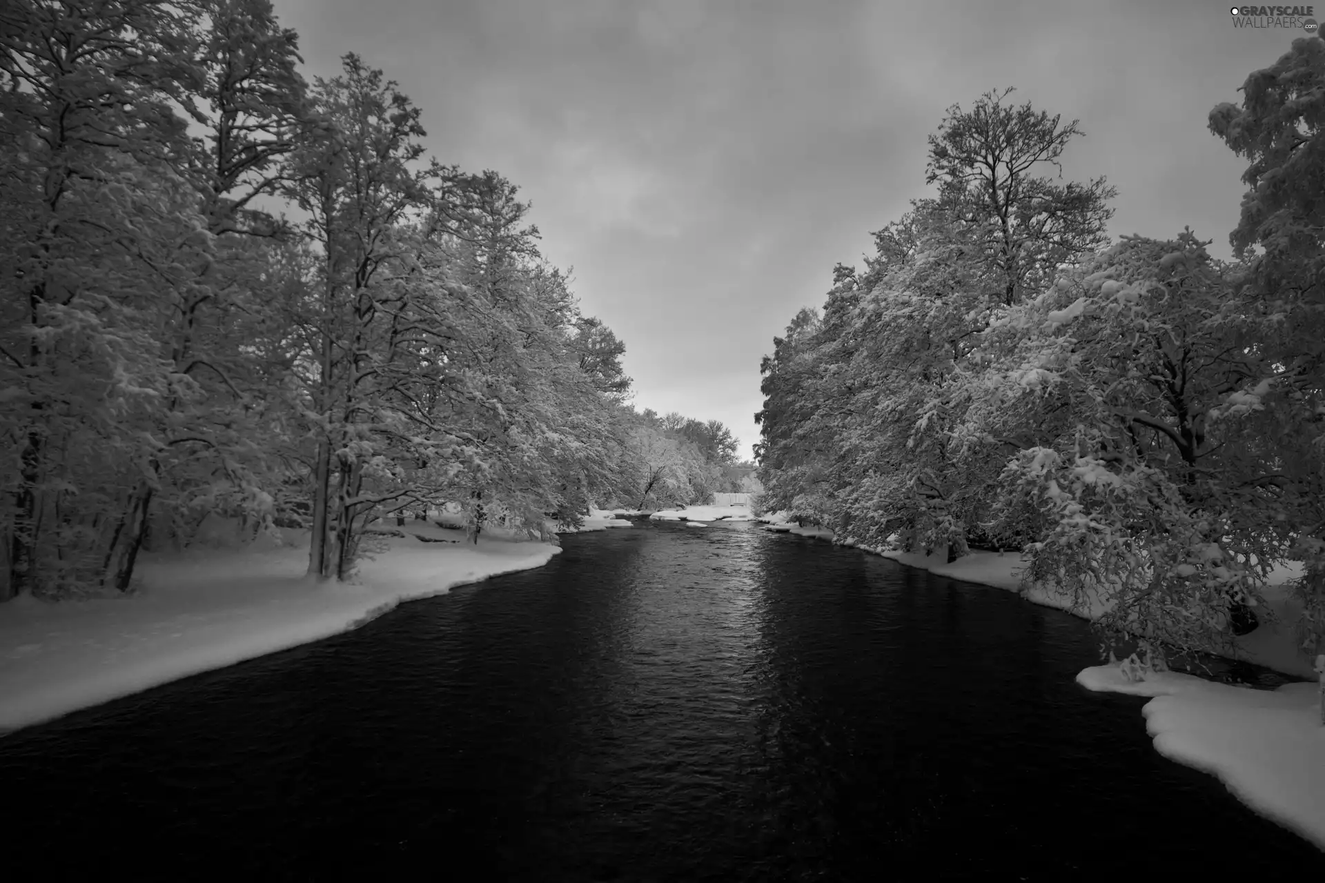 west, sun, viewes, River, trees