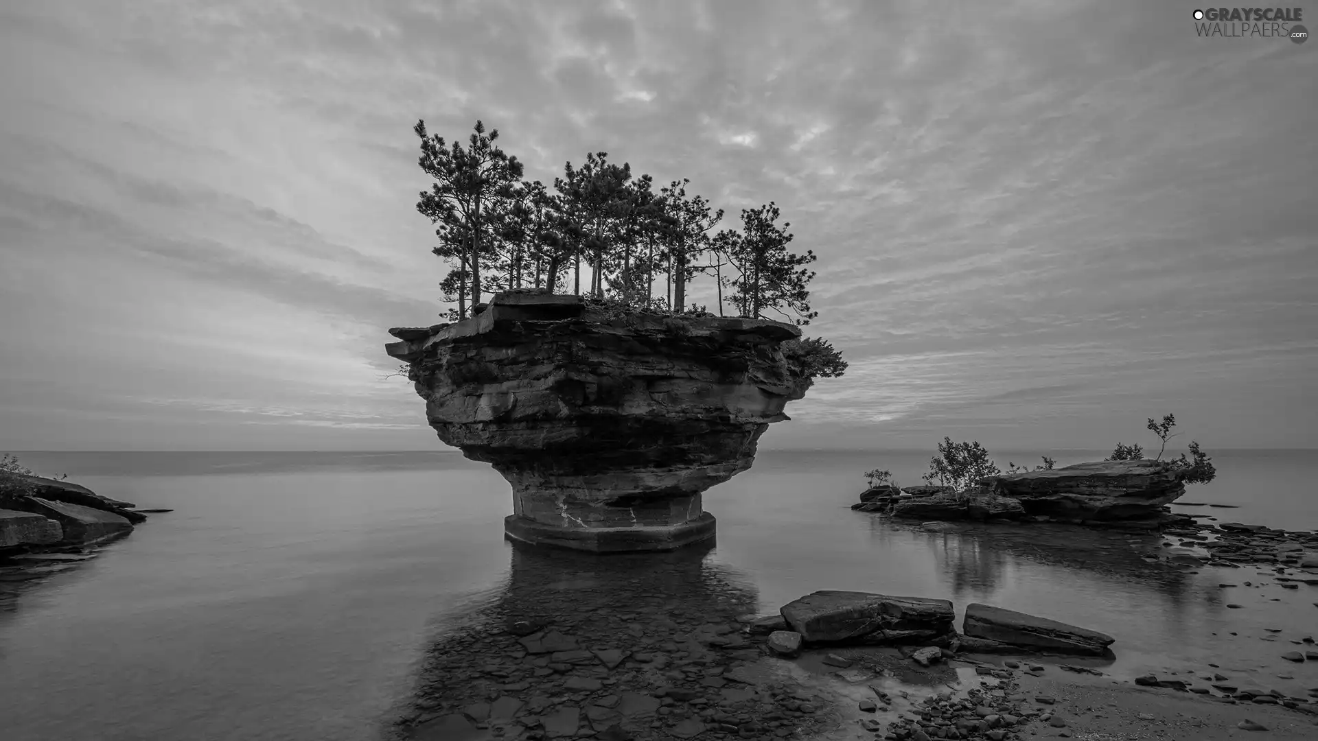 trees, sea, west, sun, viewes, rocks