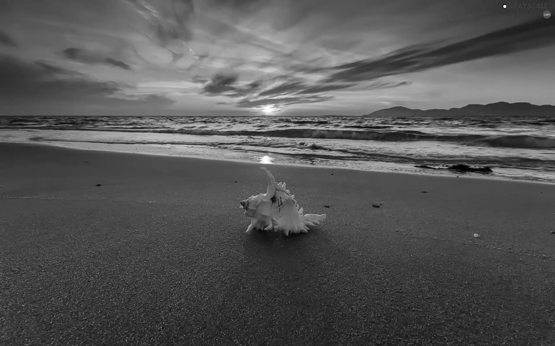 sea, Beaches, west, sun, Waves, shell