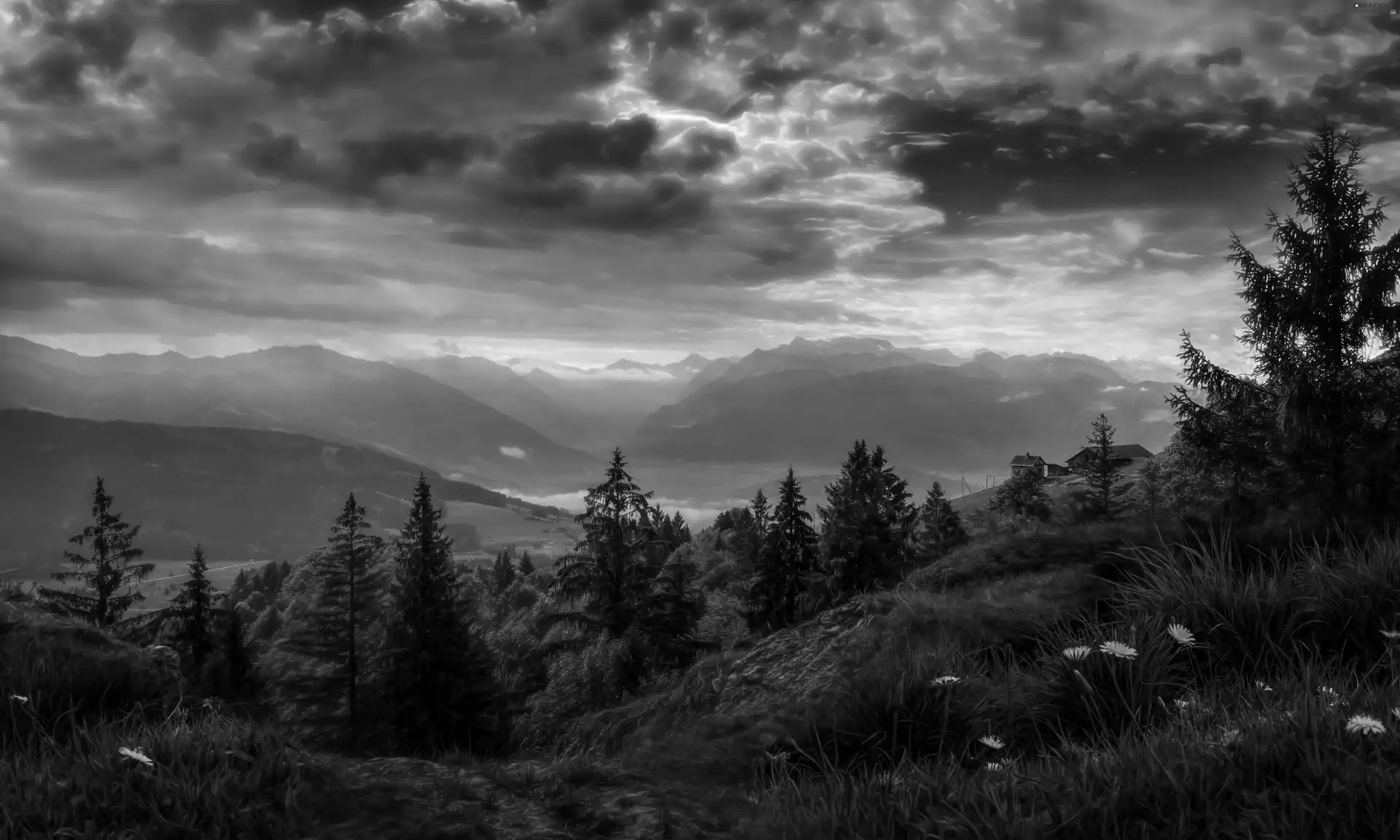 Meadow, clouds, sun, forest, Mountains, west, Switzerland