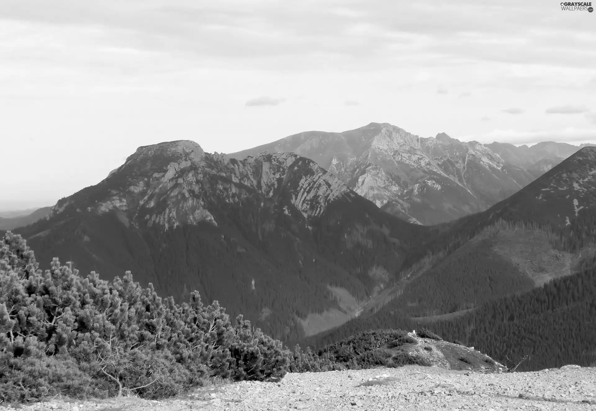 Tatras, West