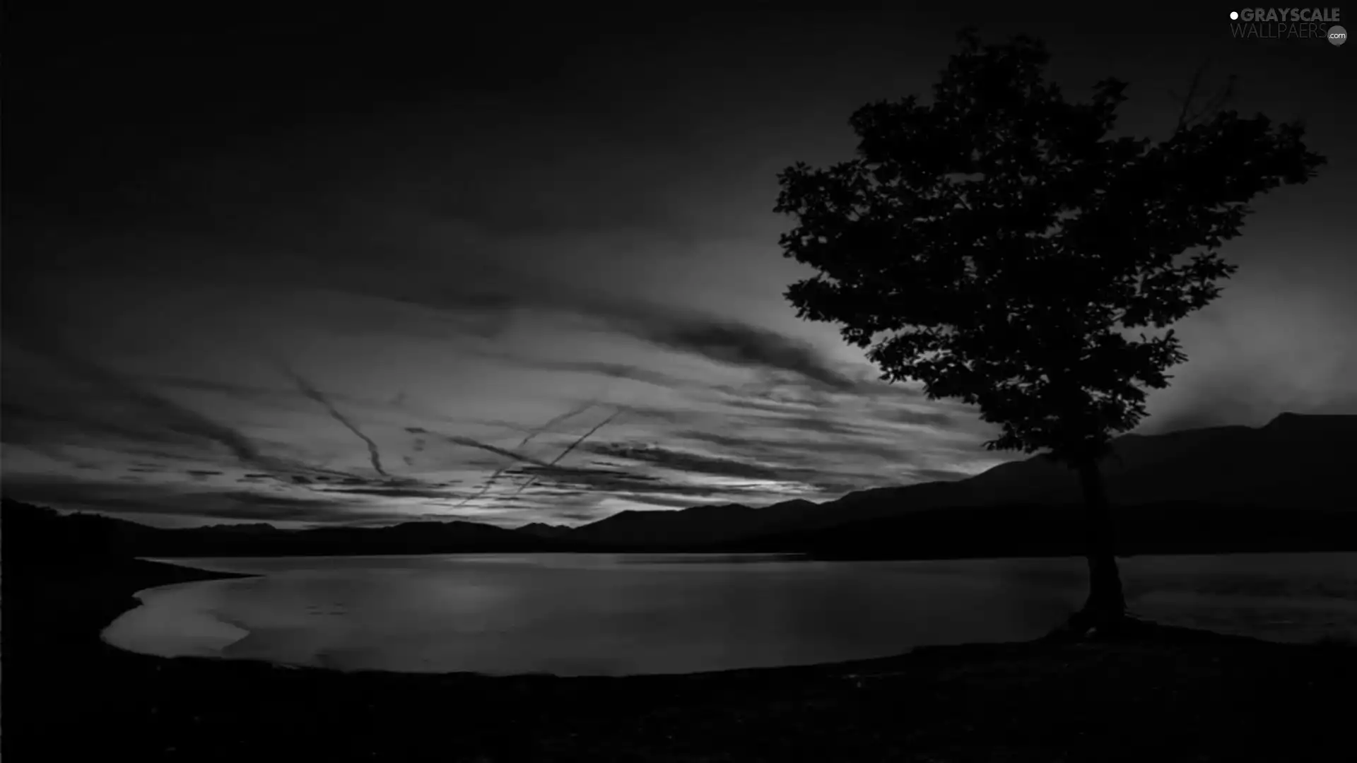 trees, Mountains, west, water