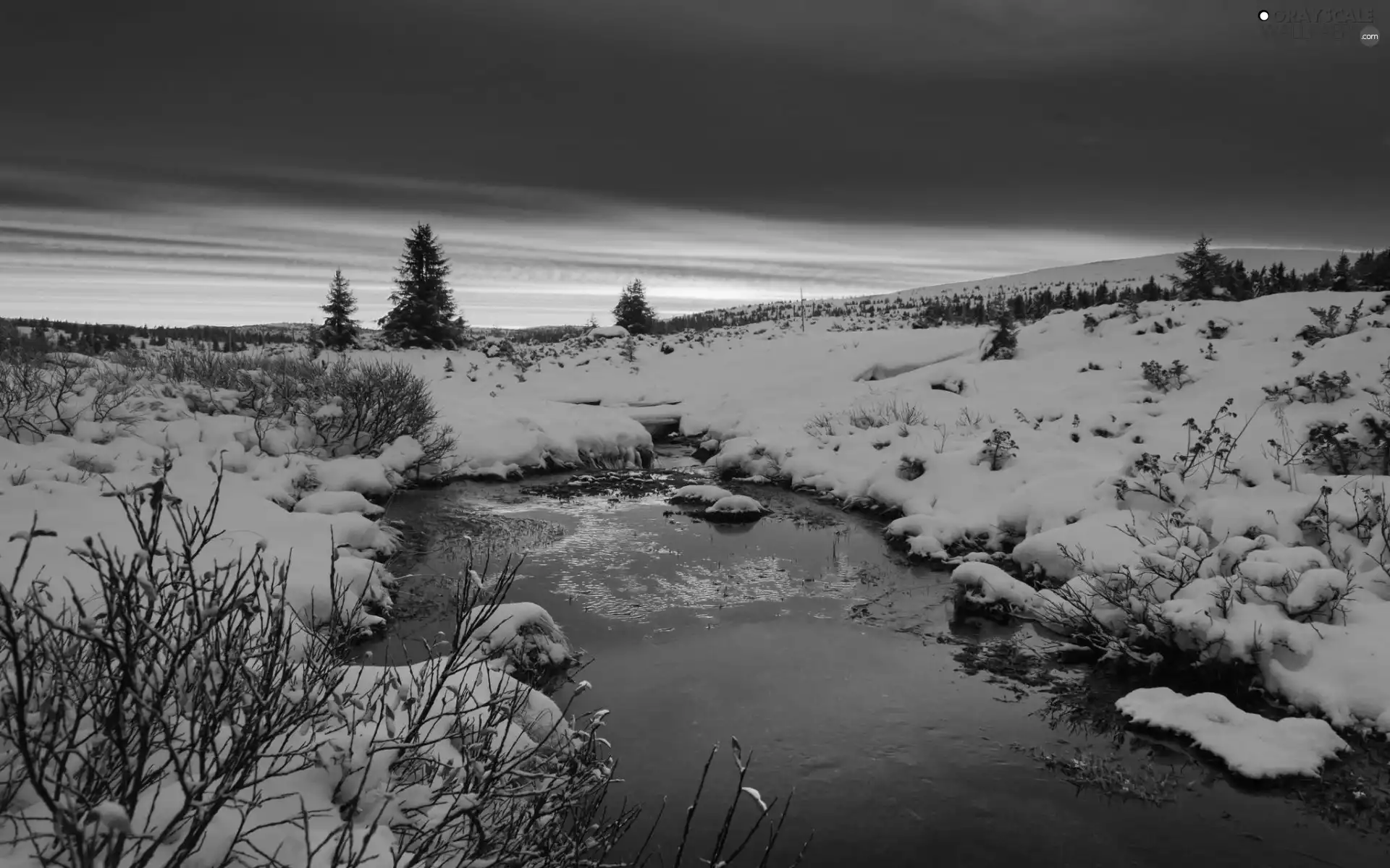 viewes, Mountains, sun, trees, brook, west, winter