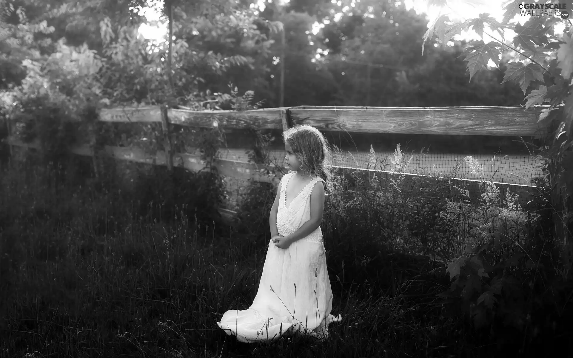 ##, white, grass, dress, fence, girl, small, Park