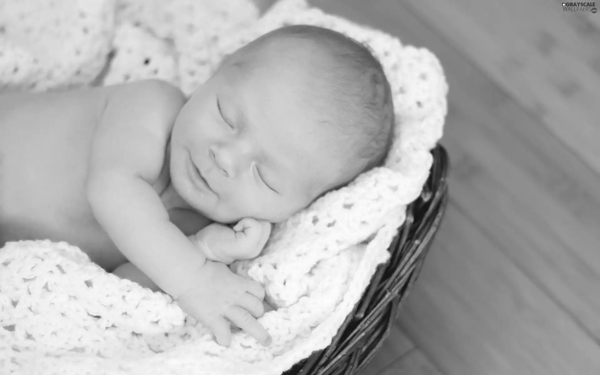 White, shawl, Baby, basket, Sleeping