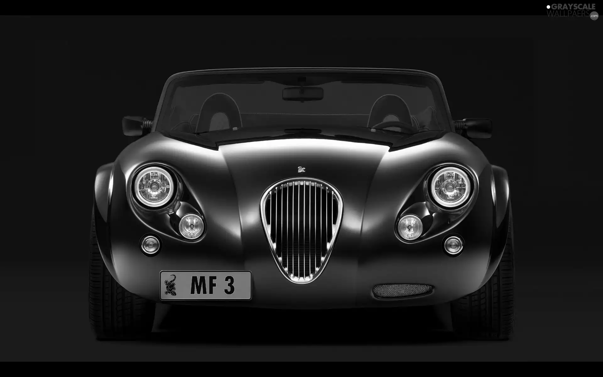 Grill, Front, Wiesmann MF3