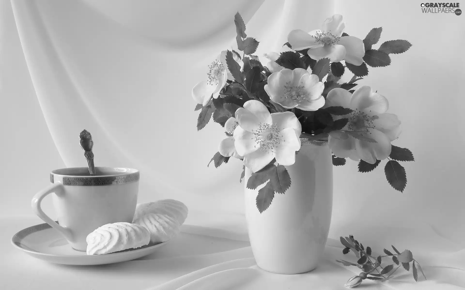 Wild, White, composition, Bouquet of Flowers, rose, china
