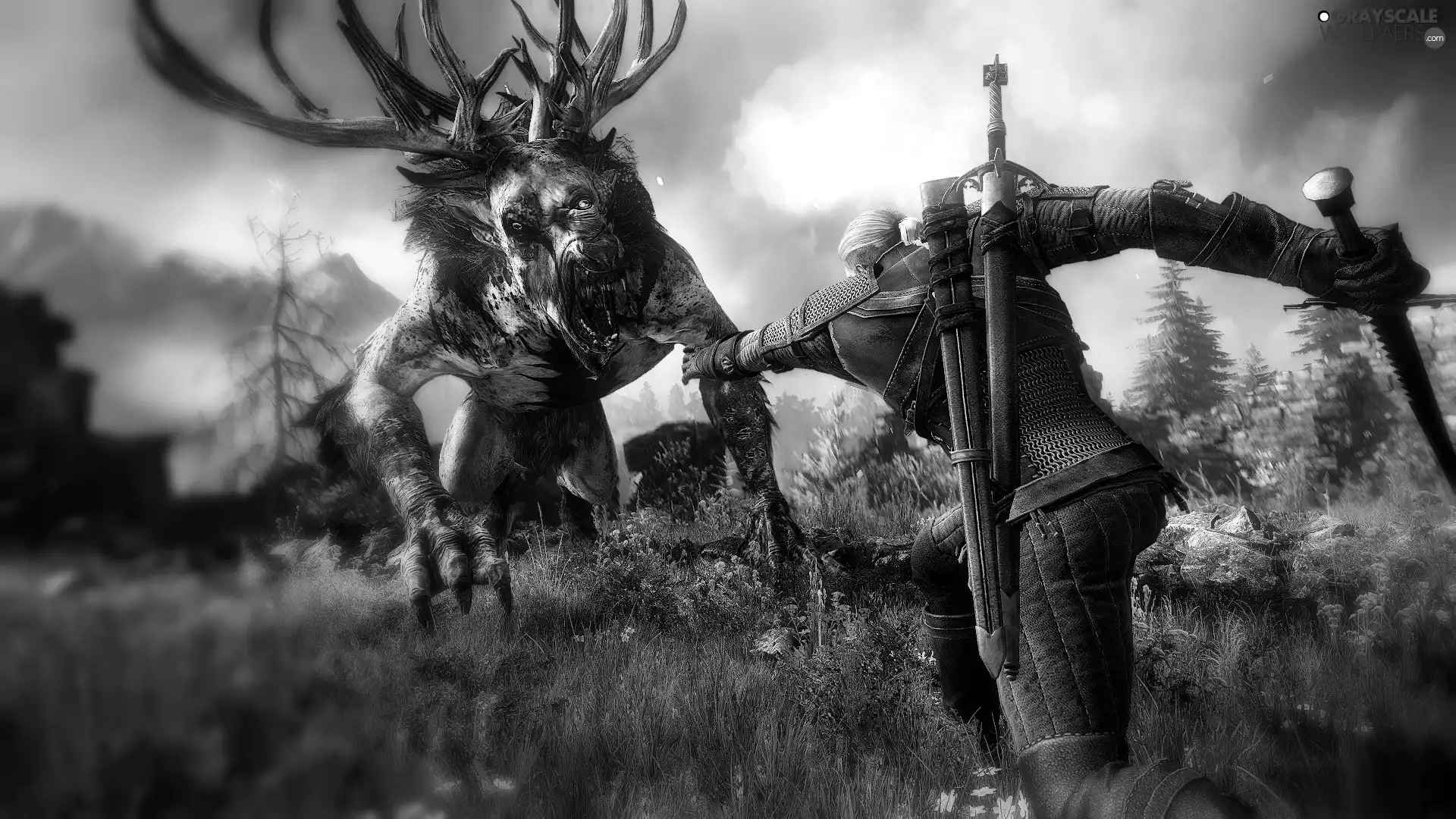 The Witcher 3, Wild Hunt