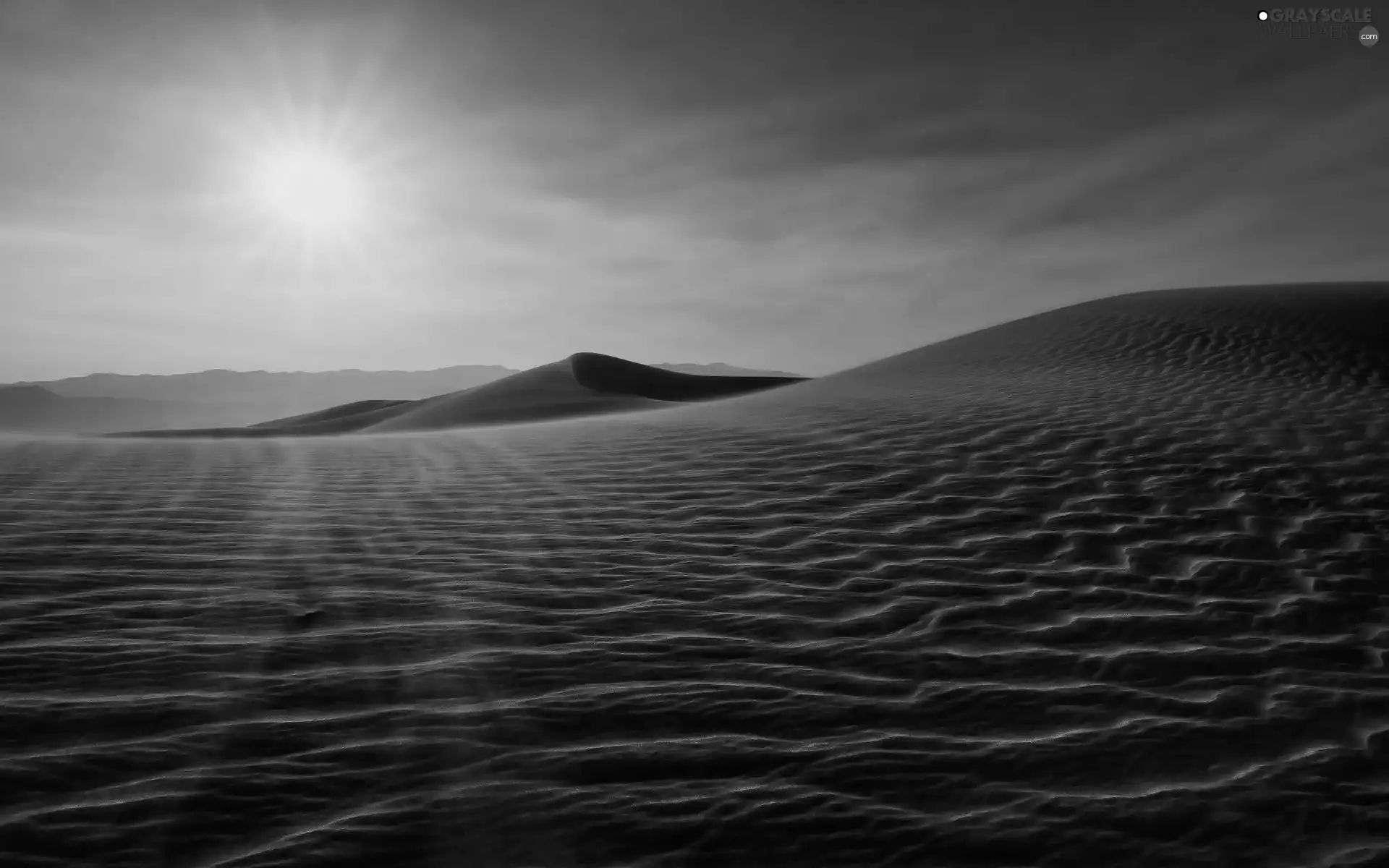sun, Sand, Wind, Desert