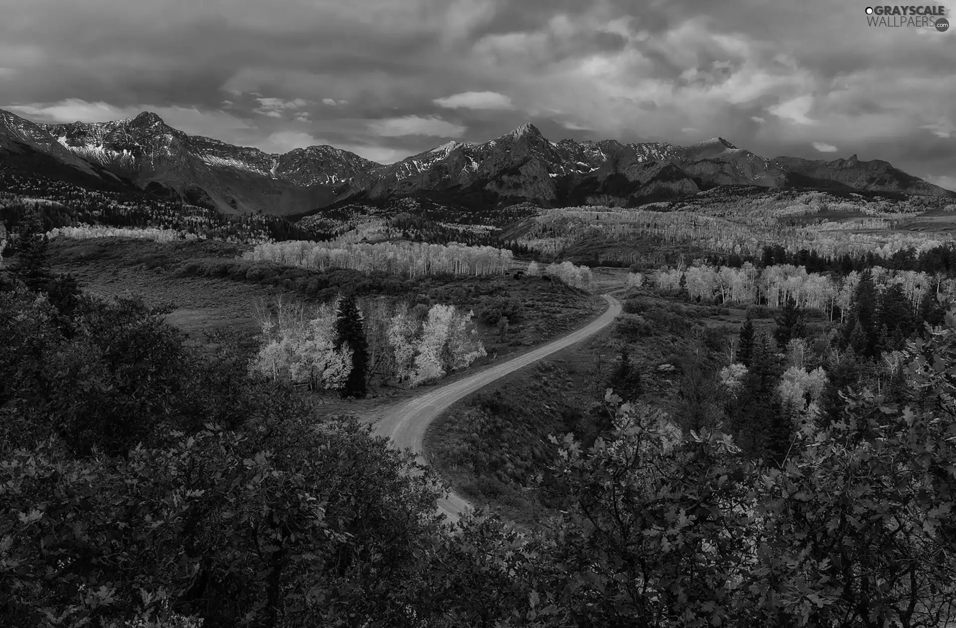 winding, Way, Mountains, forest, autumn