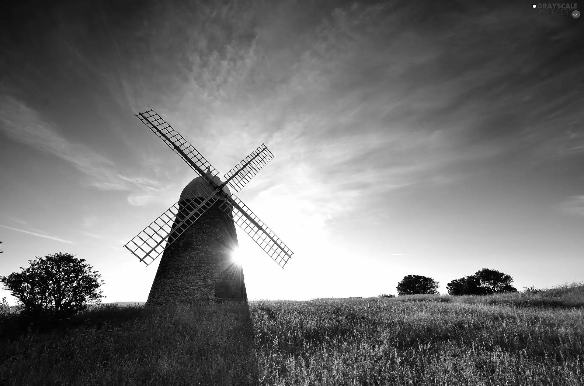 east, Meadow, Windmill, sun