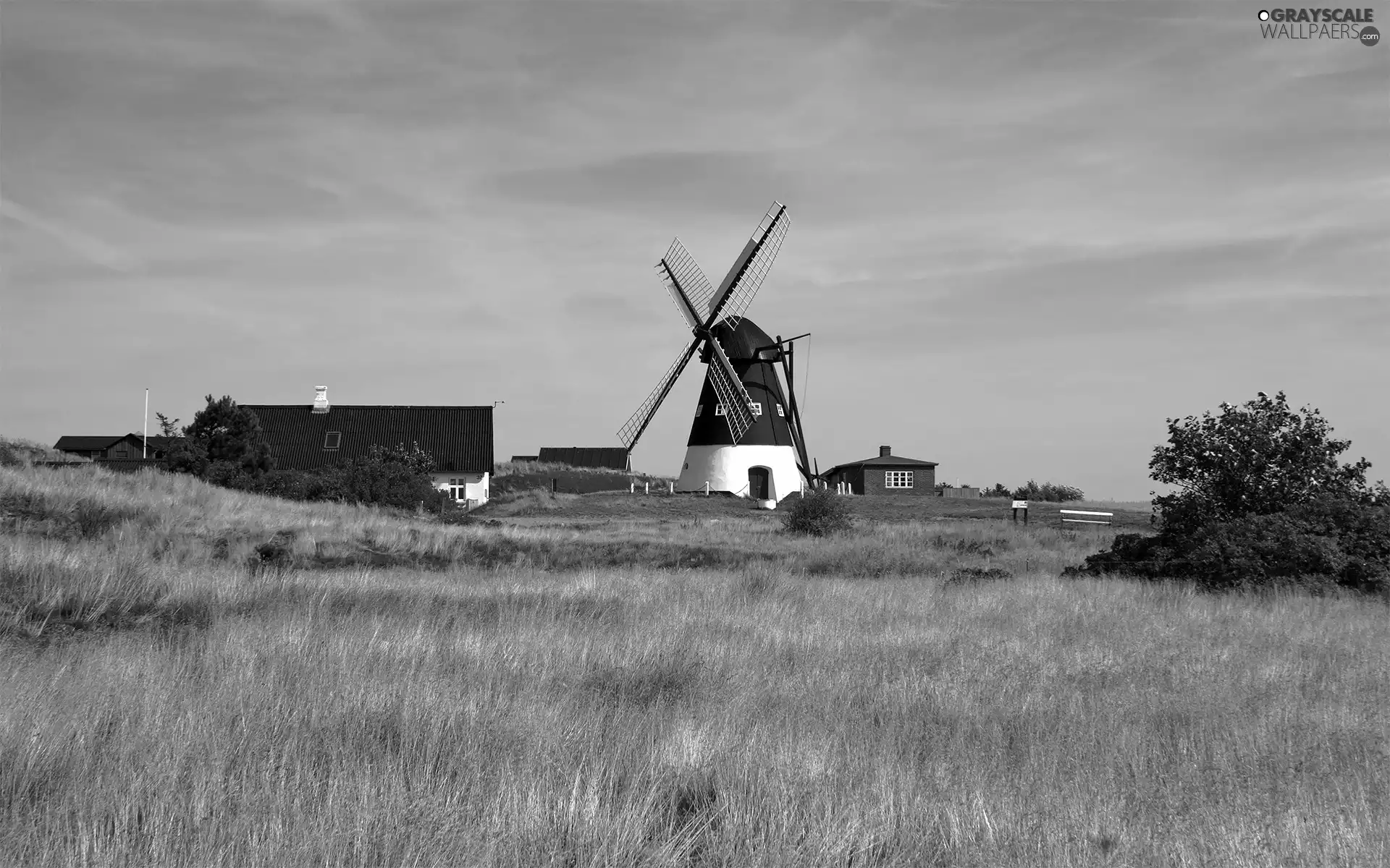 viewes, Meadow, Windmill, Sky, buildings, trees