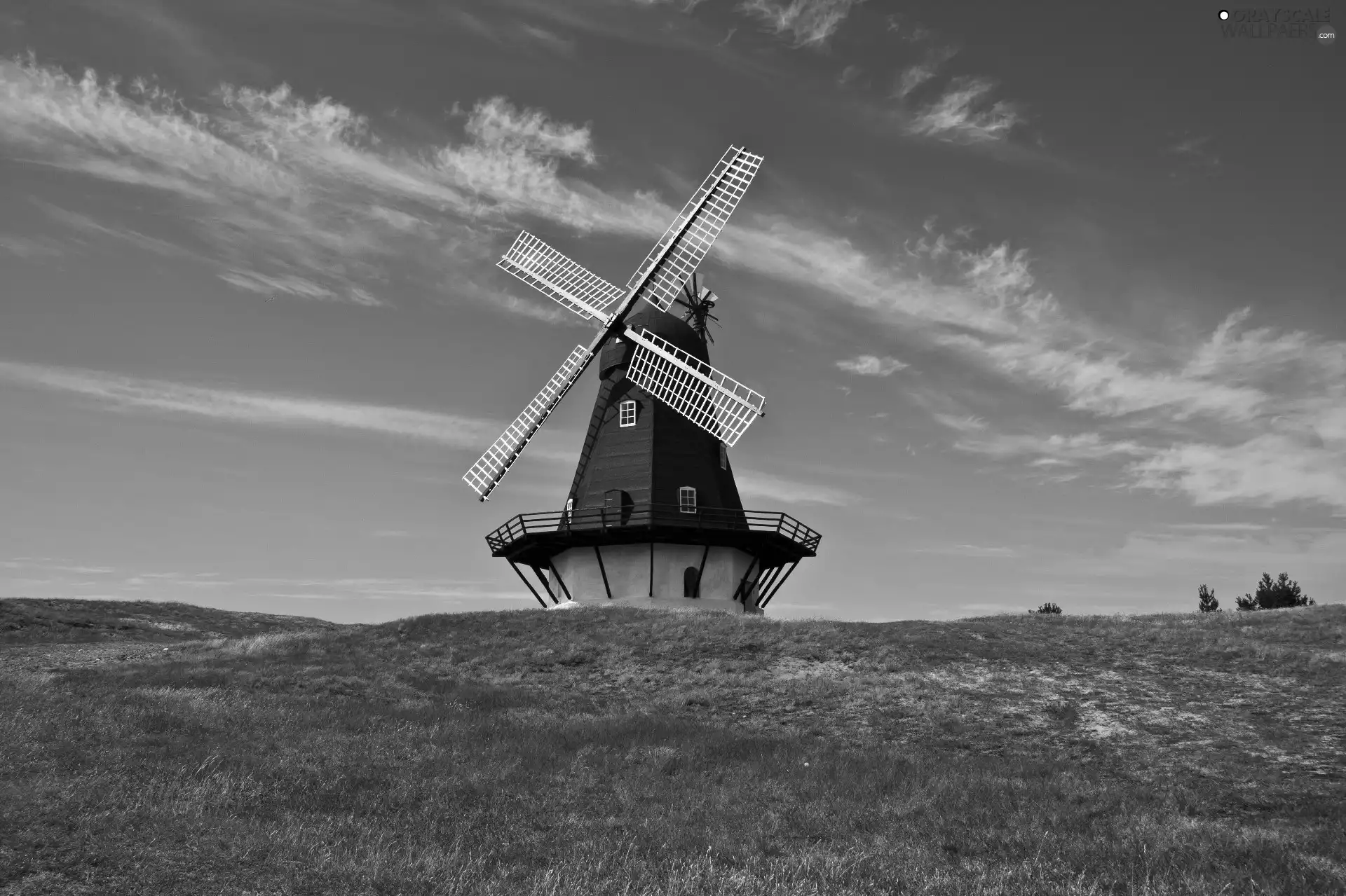 Windmill