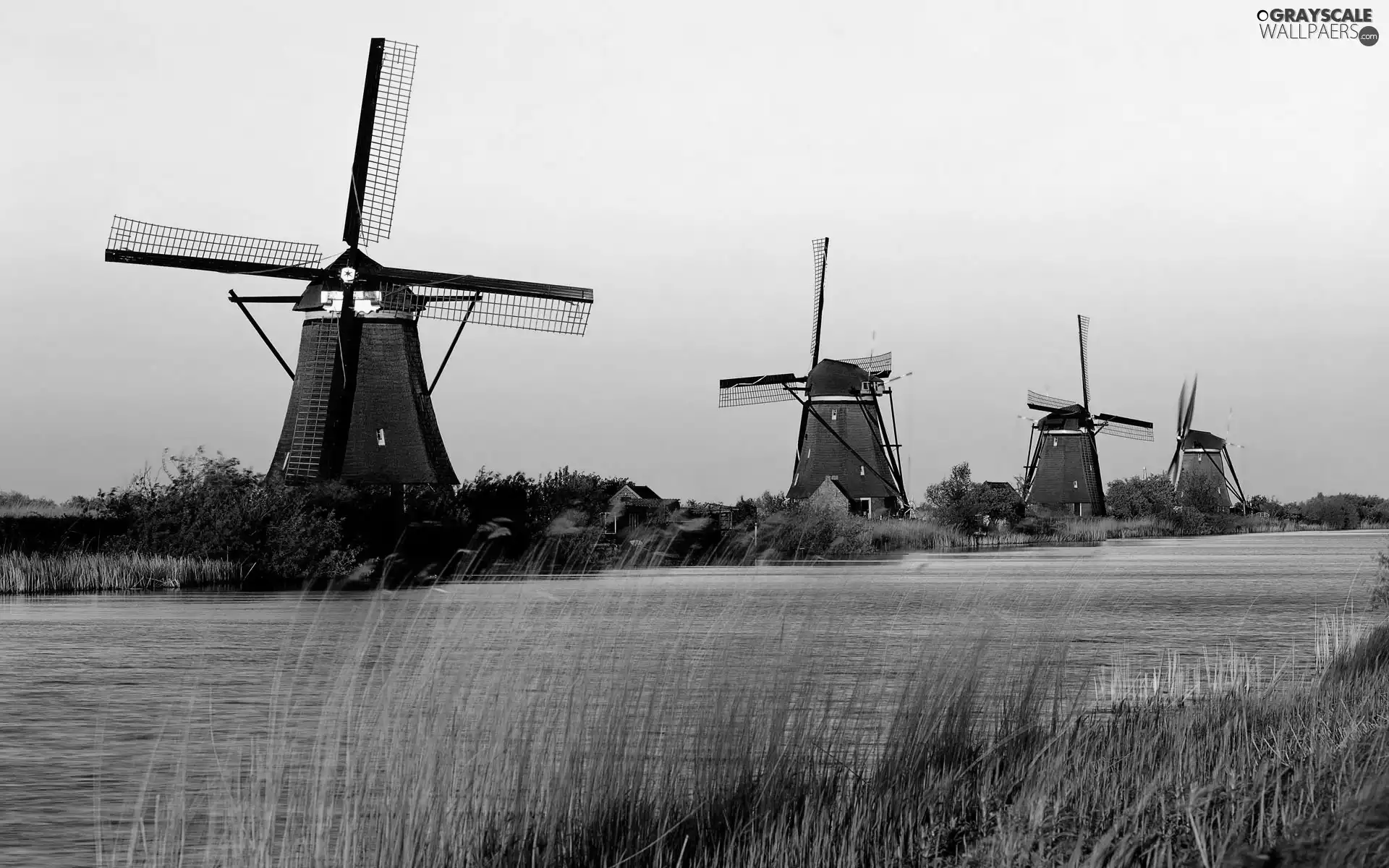 River, Windmills