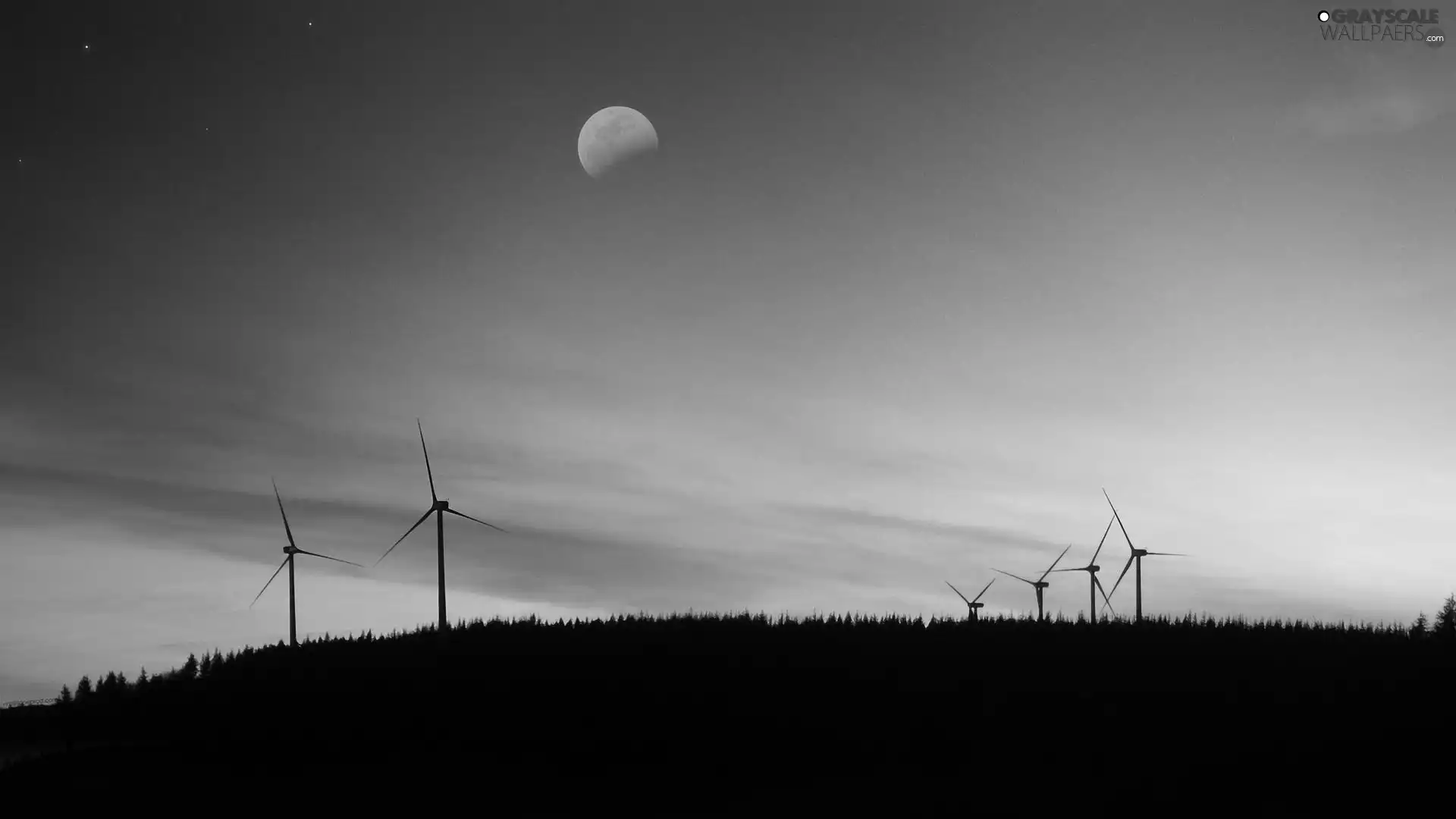 Windmills, west, sun