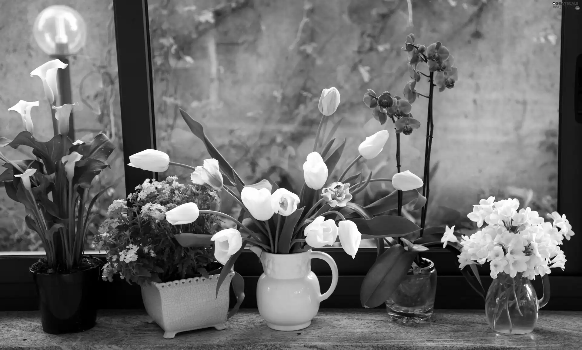 Bouquets, flowers, Window, spring