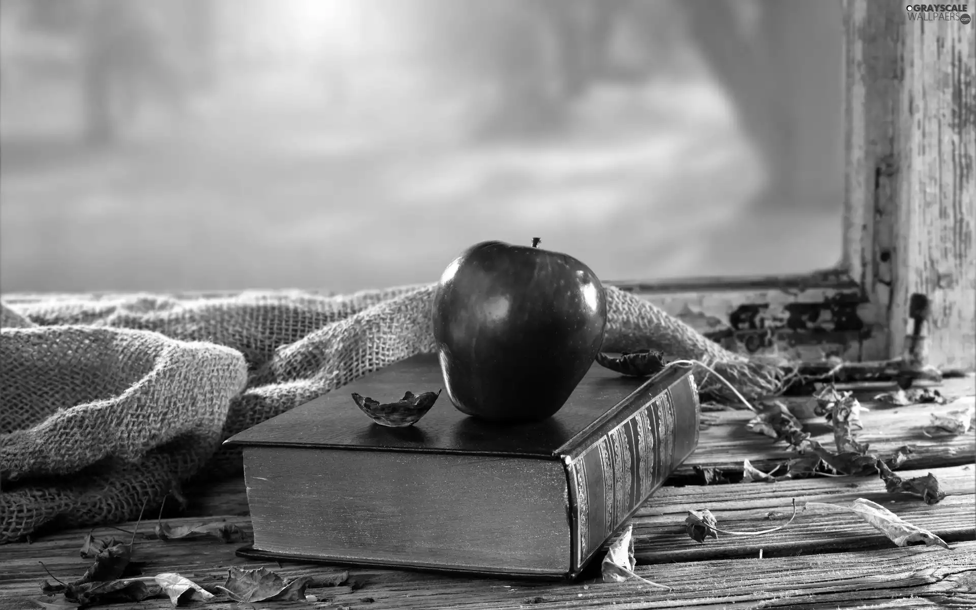 Autumn, Apple, Window, composition, Leaf, Book