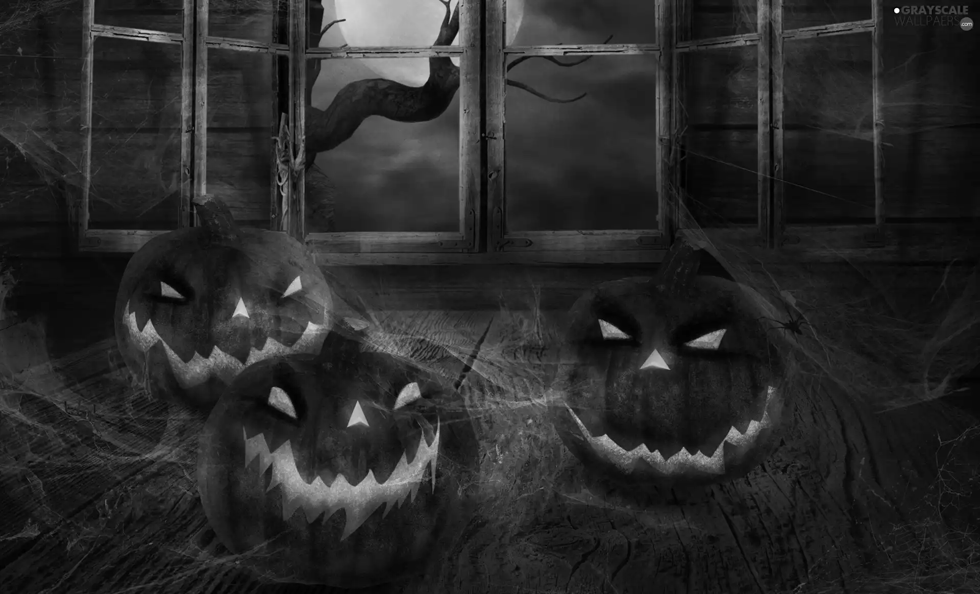 Window, pumpkin, Night