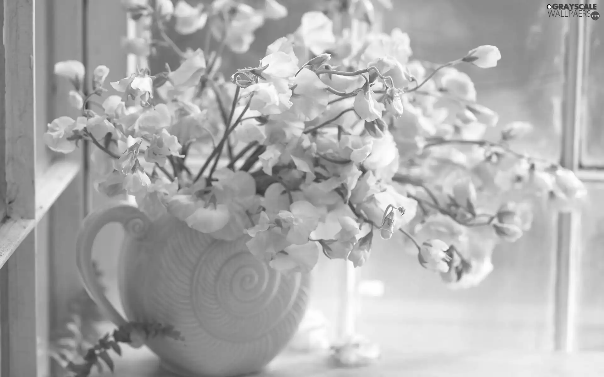 peas, Vase, Window, fragrant