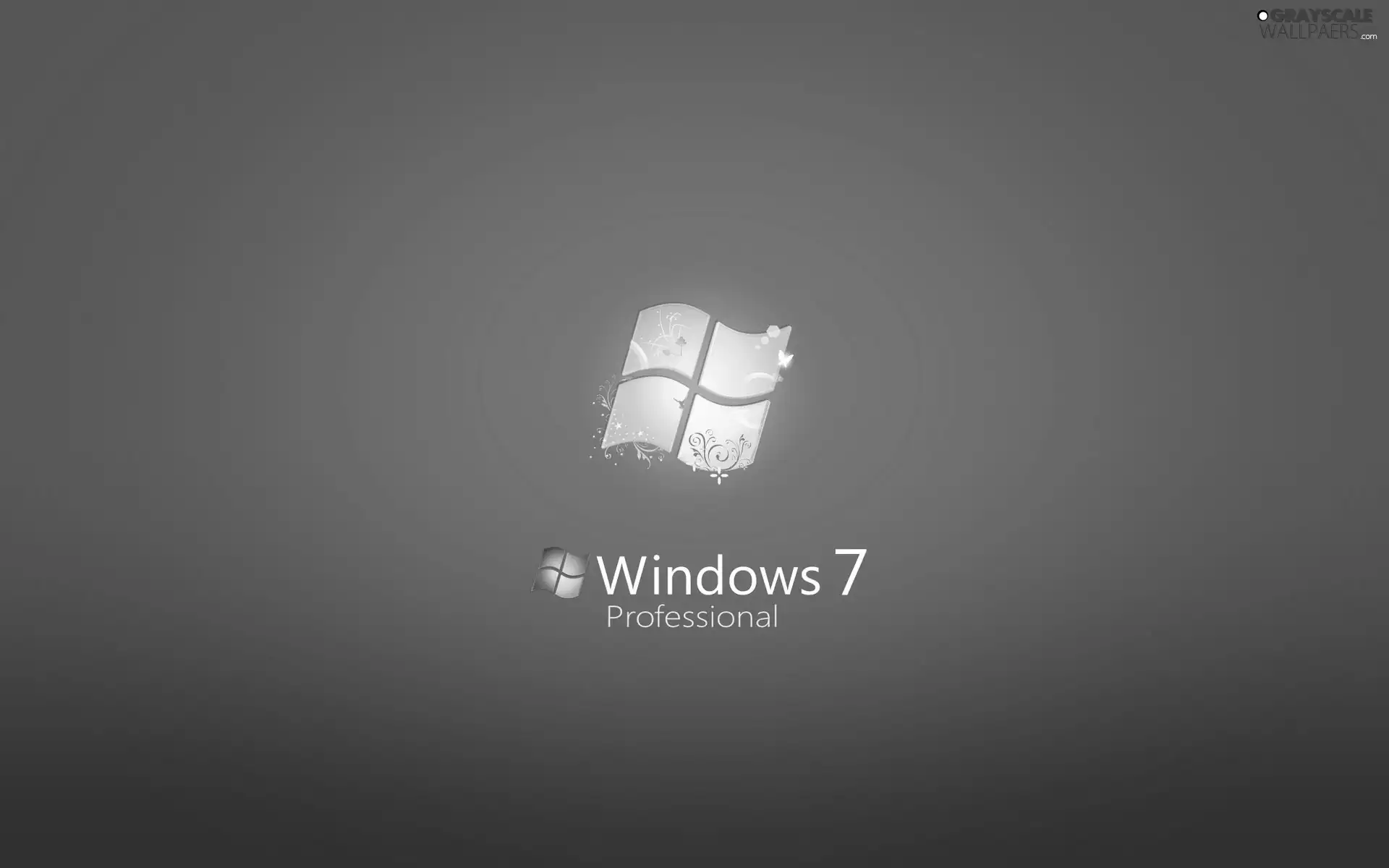 Windows 7, Professional