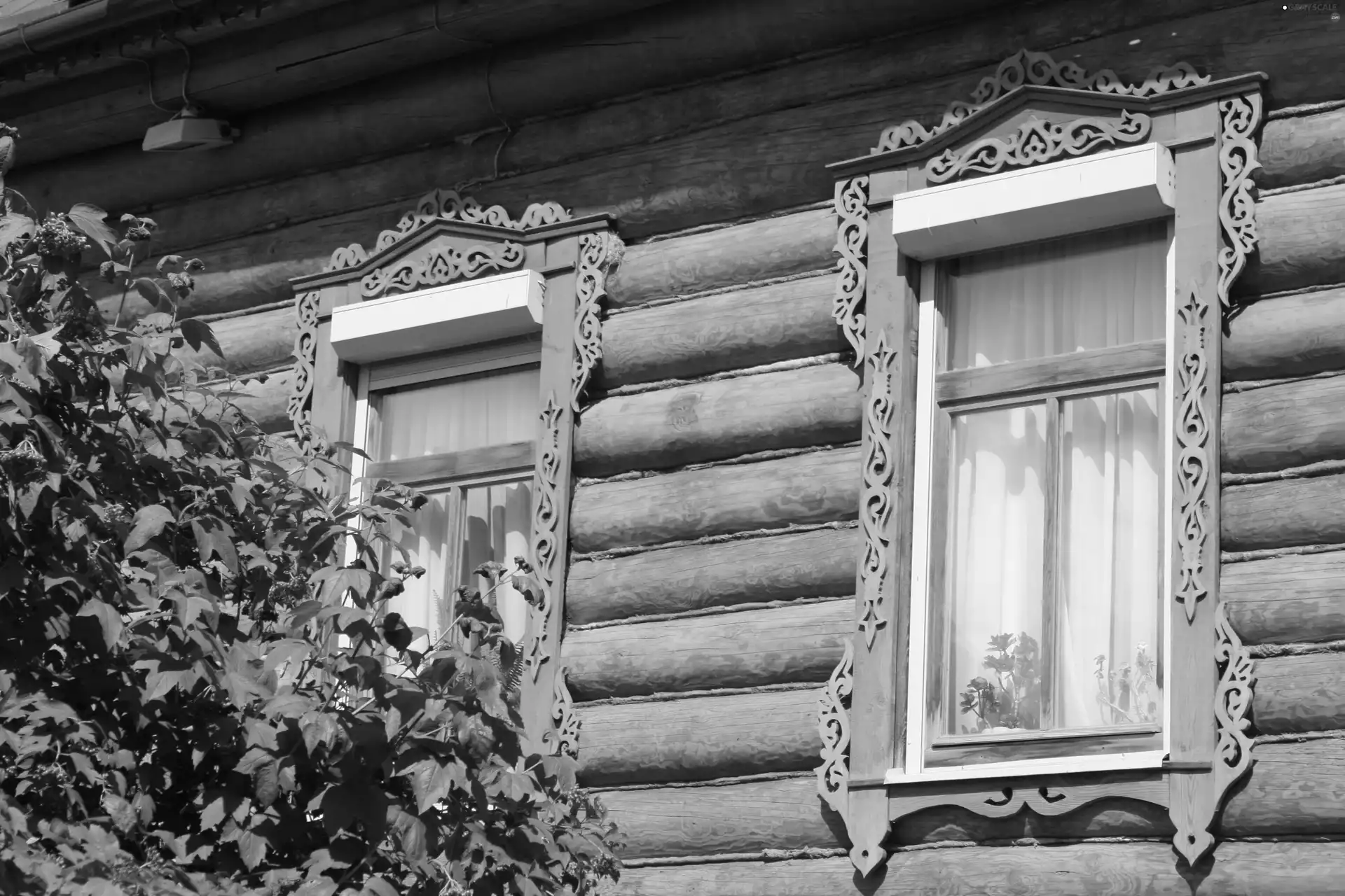 Windows, house, wooden