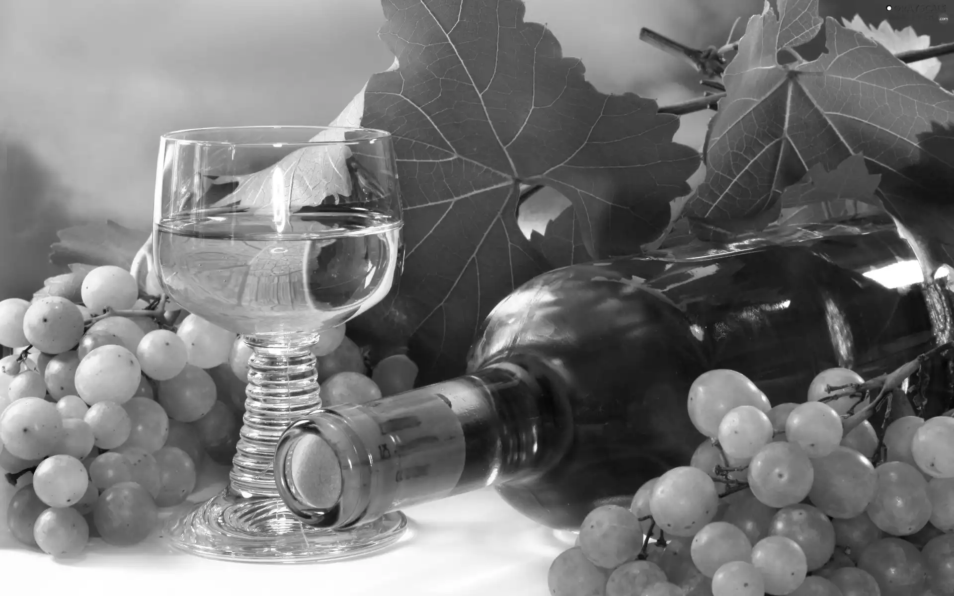 wine glass, grapes, Wine