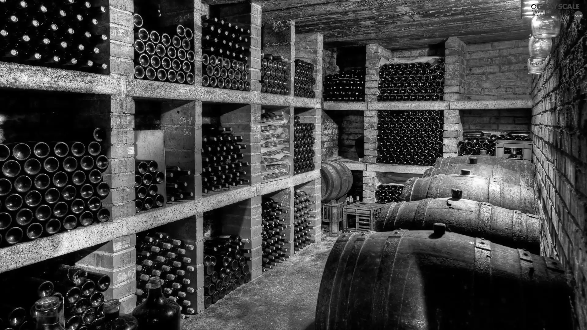 basement, Wines