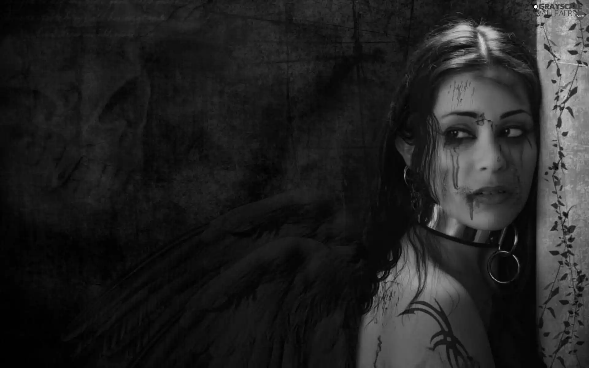 wings, Women, angel