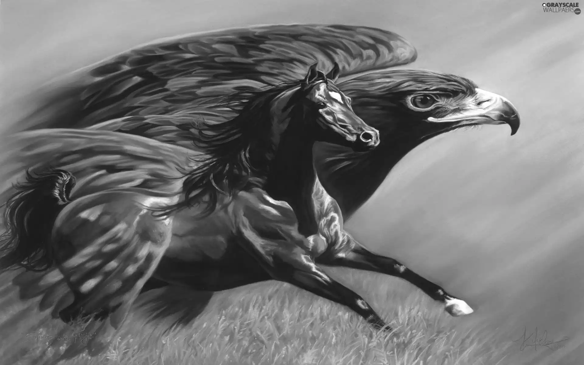wings, eagle, Horse