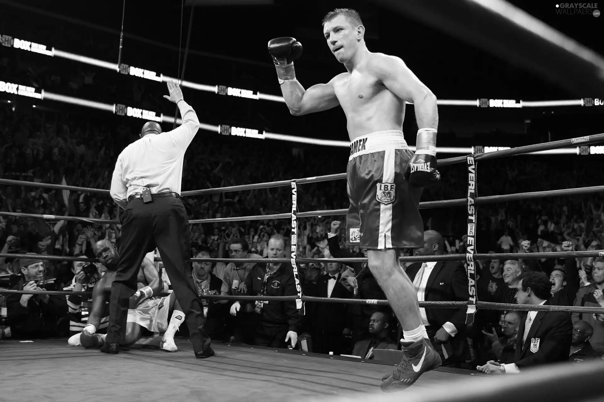 duel, Tomasz Adamek, winning