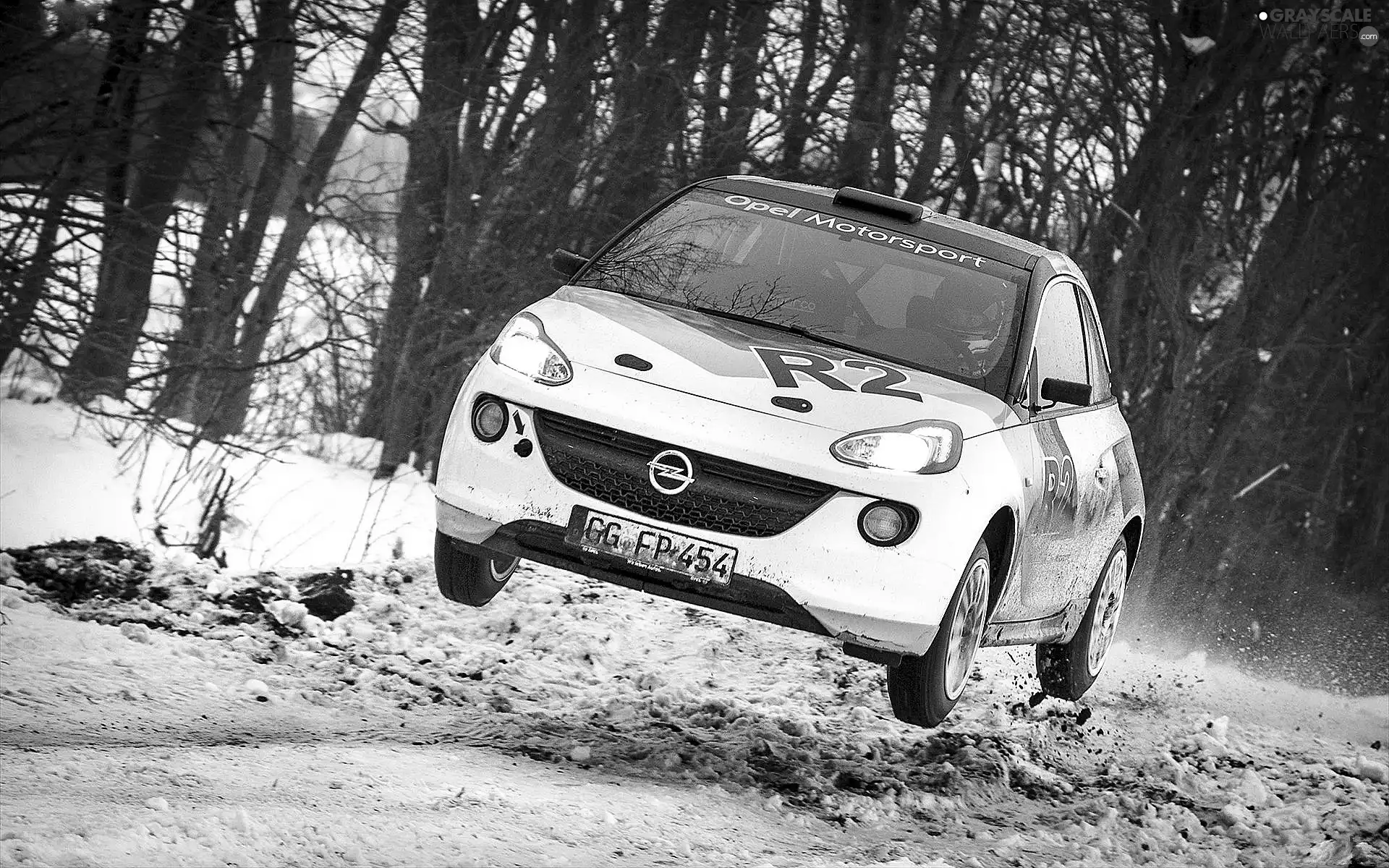 Opel Adam R2, winter