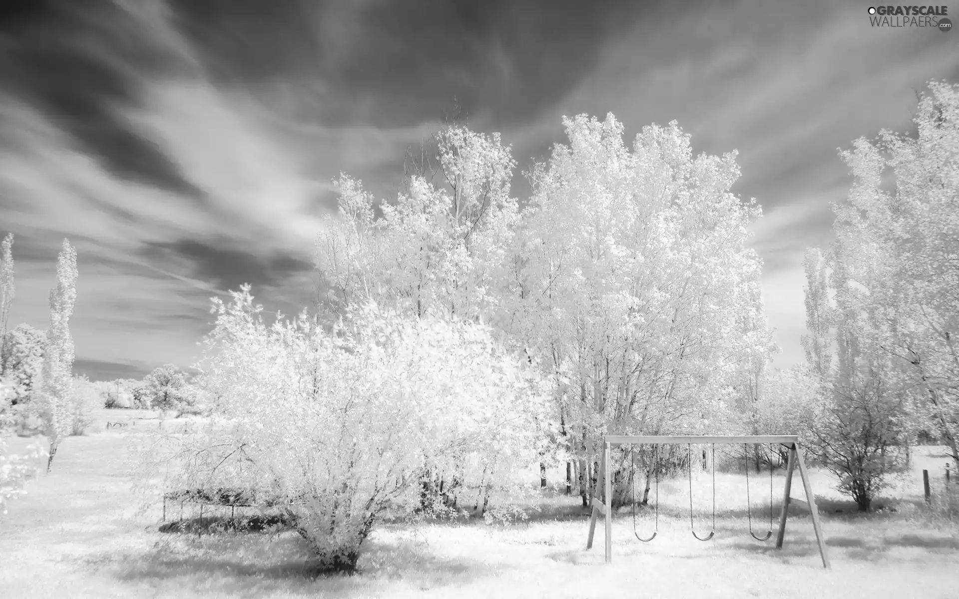 Winter, Aura, trees, viewes, snow