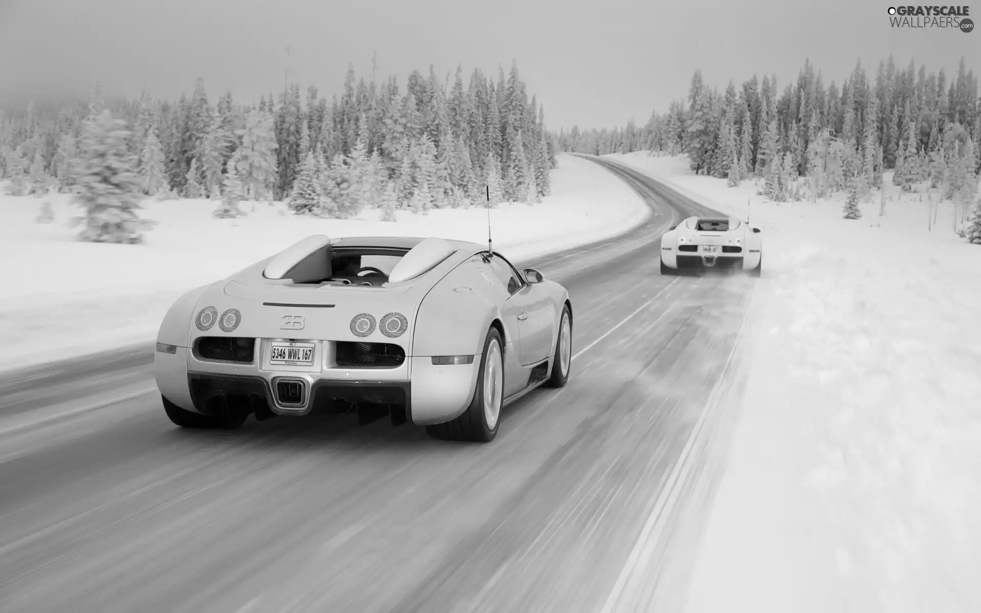 Bugatti, woods, winter, Way