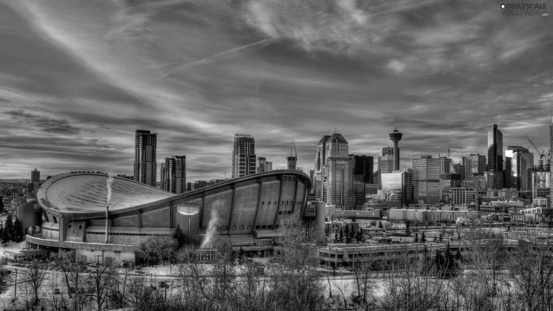 Canada, Town, winter, Calgary