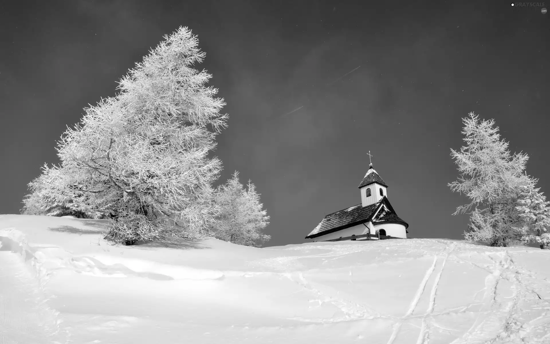 church, viewes, winter, trees