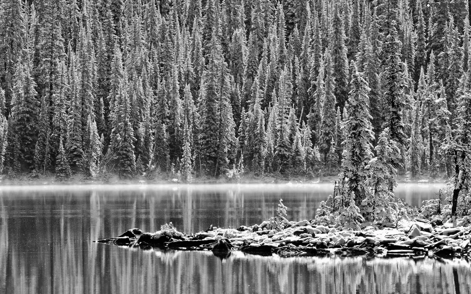 winter, lake, forest