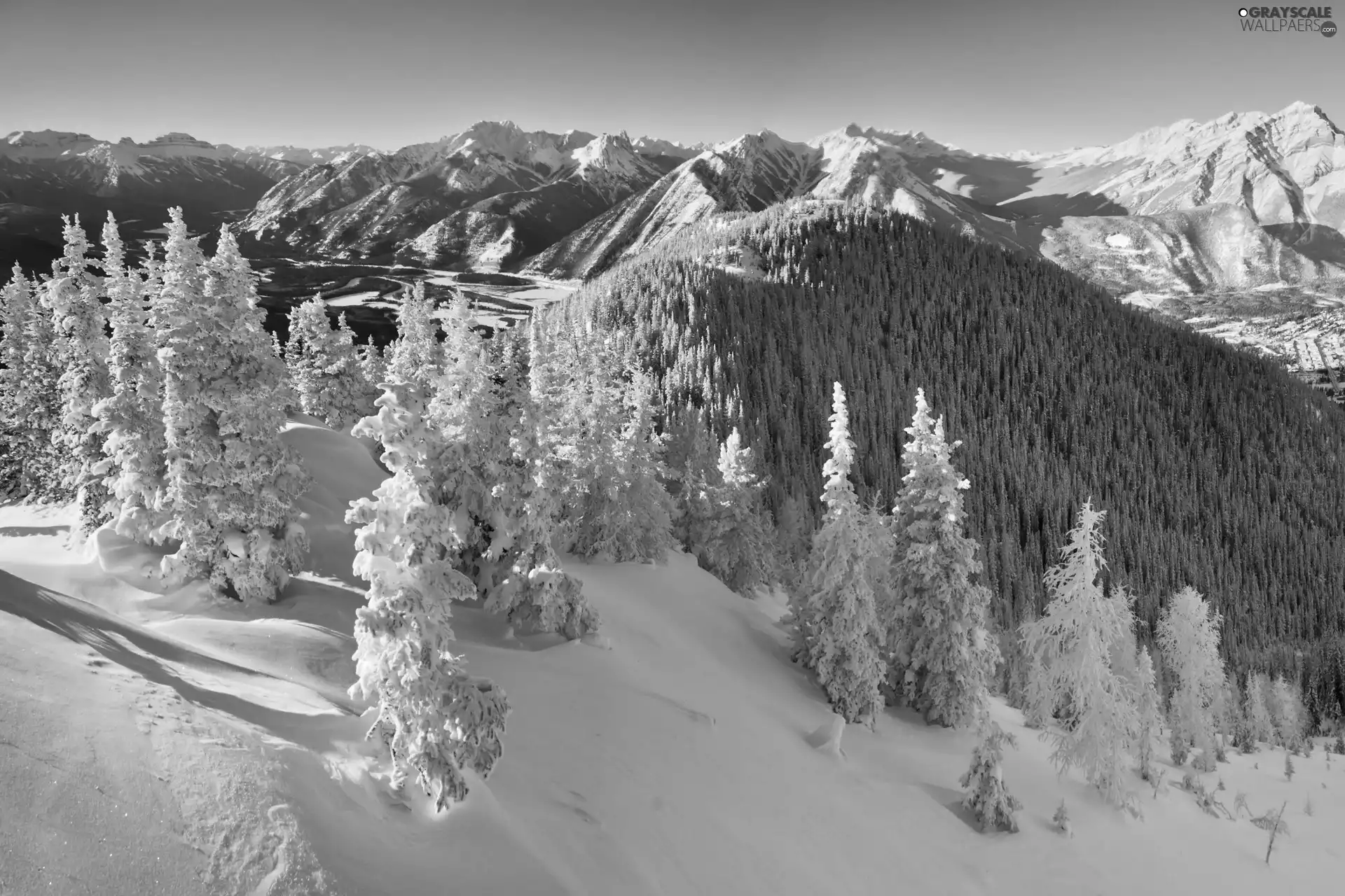 winter, Mountains, forest