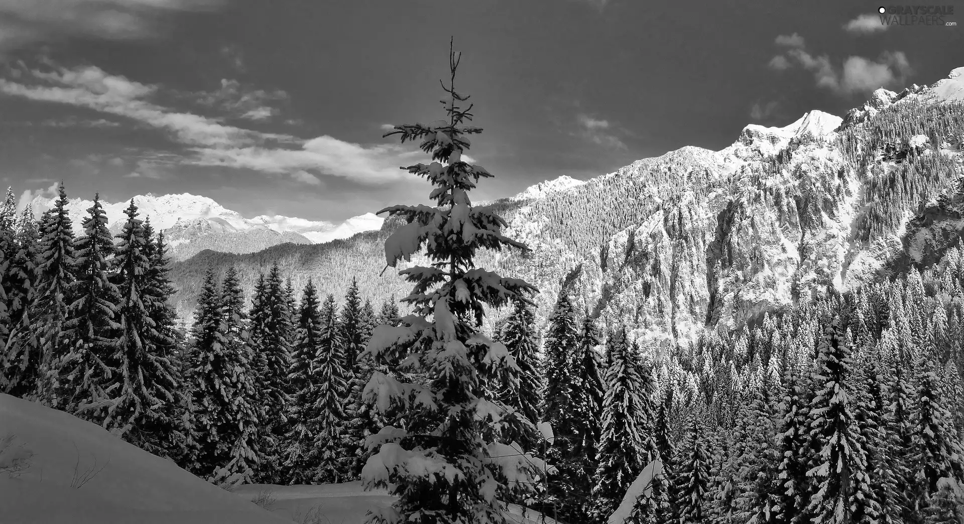 winter, Mountains, forest