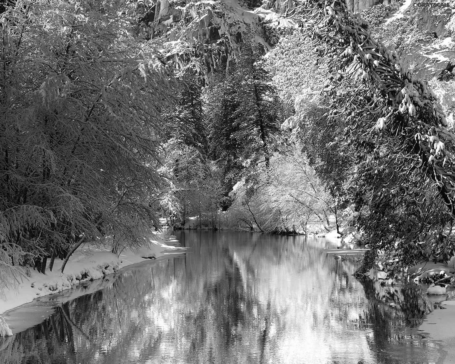 winter, River, forest