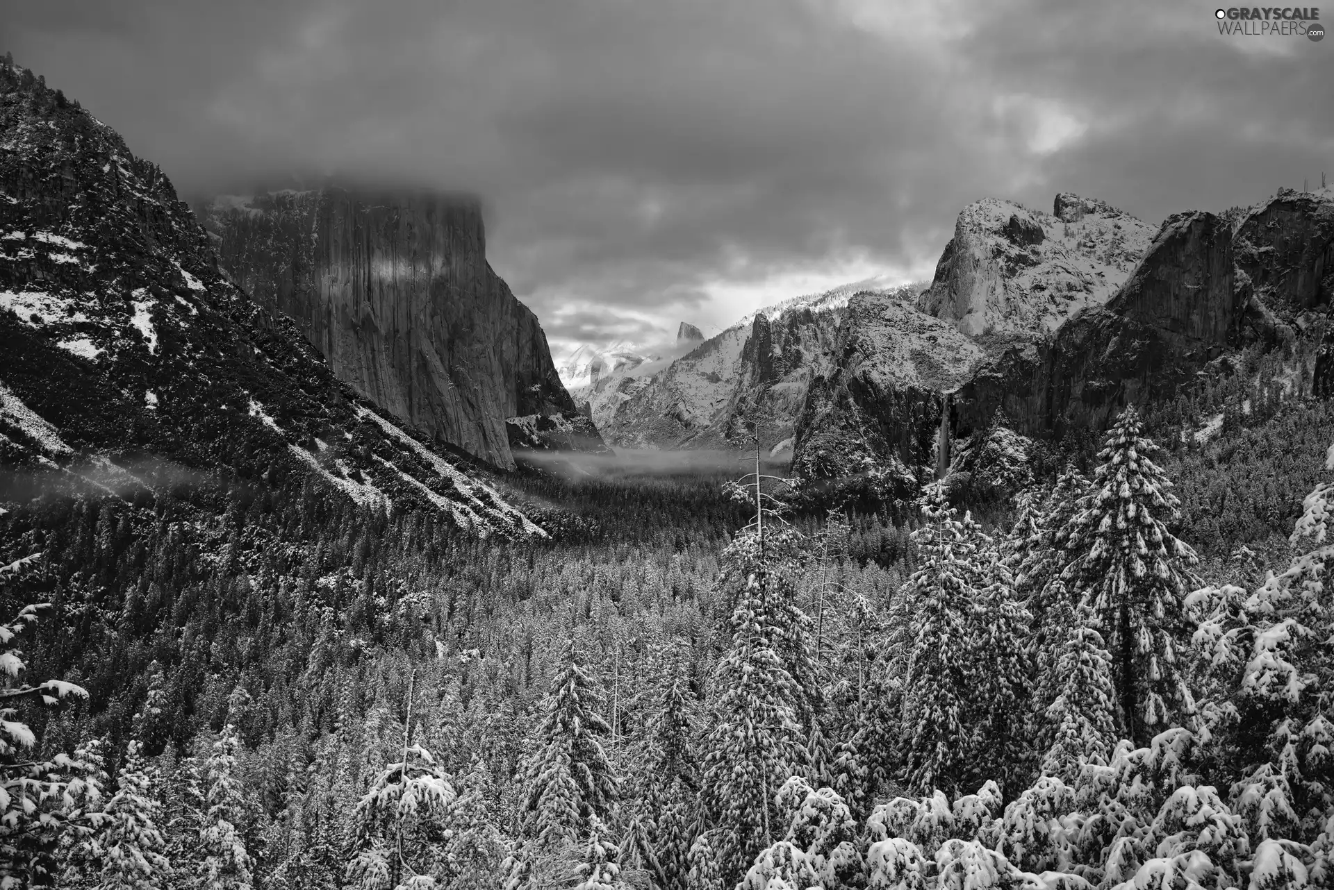 winter, rocks, forest